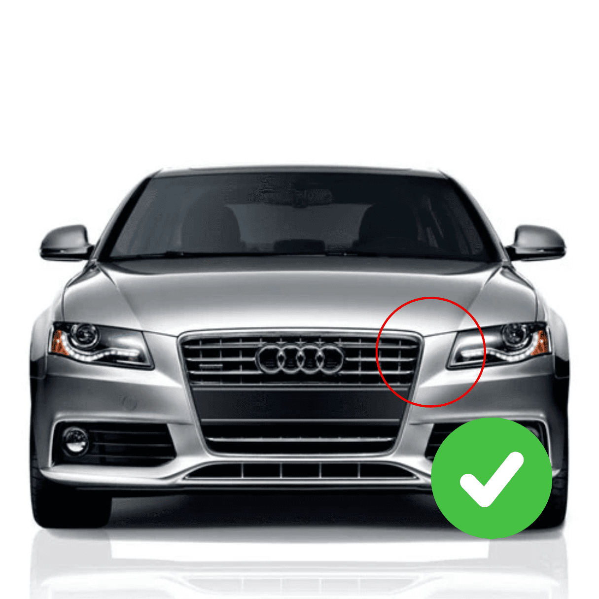 Parrilla Delantera Audi A4/S4 08-12 RS4 Negra Brillante