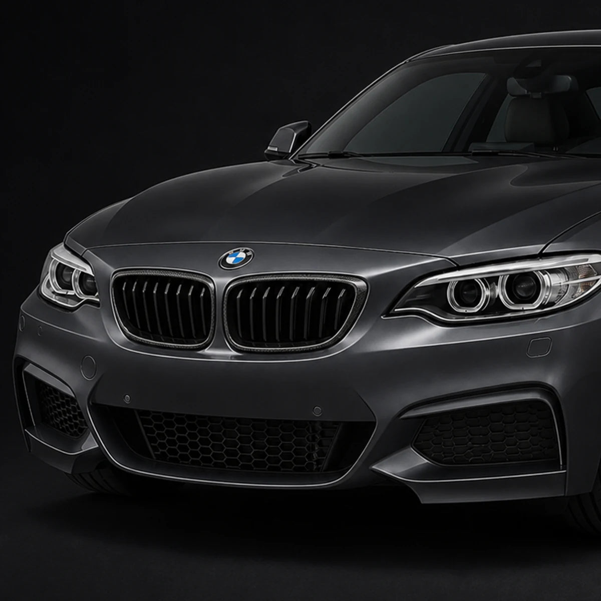 Parrilla para BMW F22 F23 en Fibra de Carbono. [IRP-CATALOG:PARR024-1-O.webp:9e0b716ee34d0483]