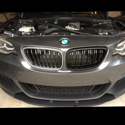 Parrilla Kidneys Riñones Negra Brillante BMW Serie 2 F22 Doble Vira